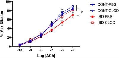 Adventitial macrophage accumulation impairs perivascular nerve function in mesenteric arteries with inflammatory bowel disease